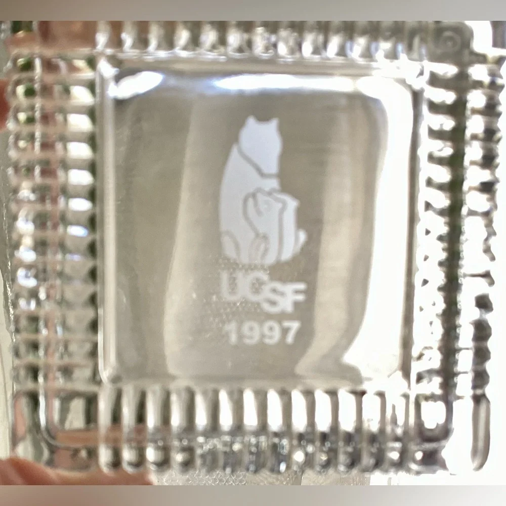 Momma Bear + Cubs Crystal Trinket Candy Box 1997 UCSF